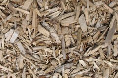 biomass boilers Torlum