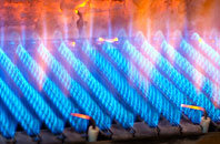 Torlum gas fired boilers